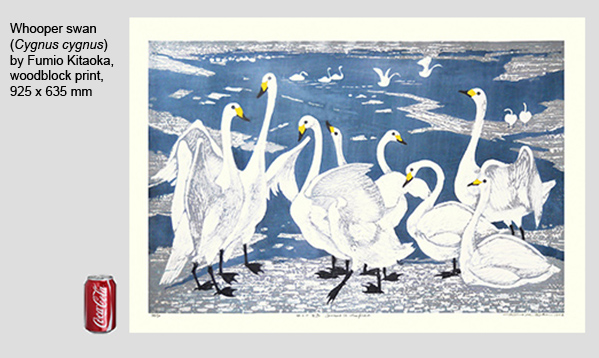Plywood print size